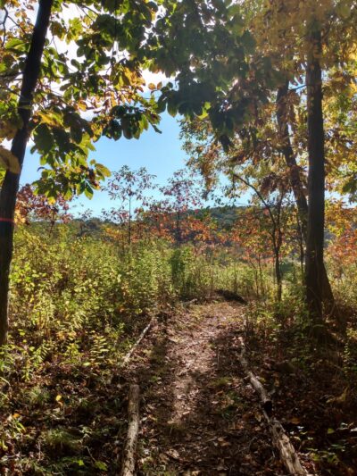 Gunntown Passive Park and Nature Preserve - Oxford, CT