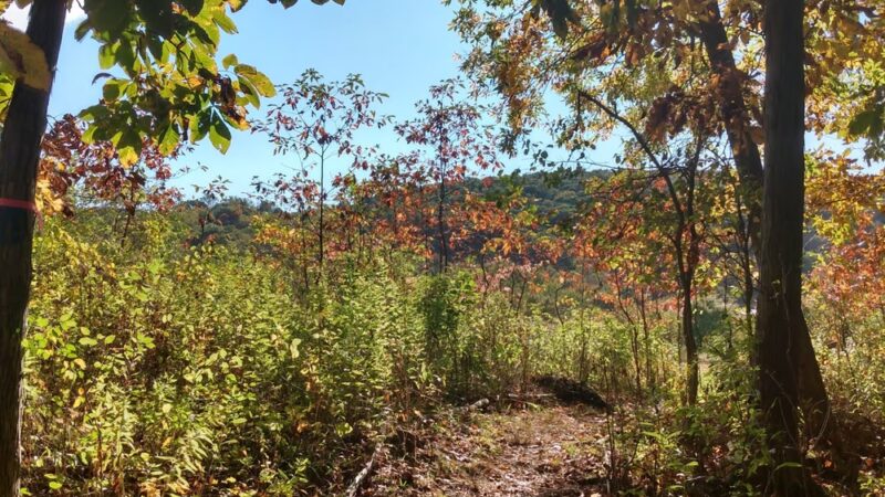 Gunntown Passive Park and Nature Preserve - Oxford, CT