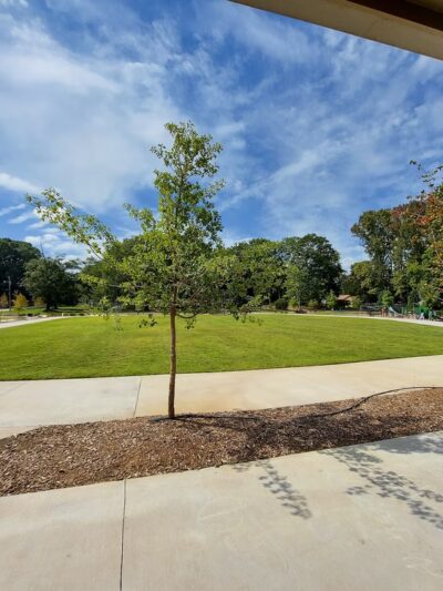 Asbury Street Park - Oxford, GA
