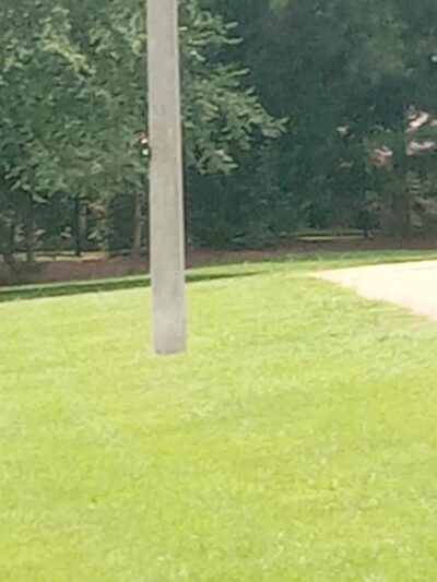 Lake Patsy Dock - Oxford, MS