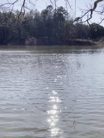 South Campus Rail Trail - Oxford, MS