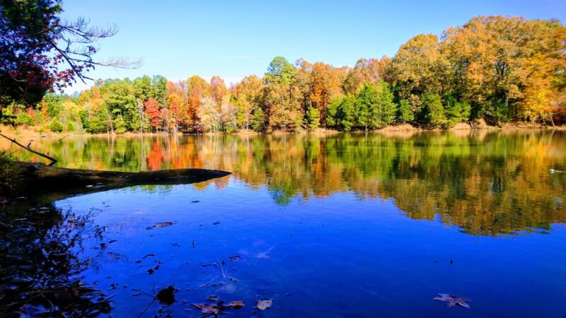 South Campus Rail Trail - Oxford, MS