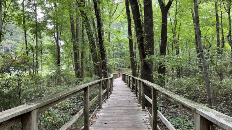 Granville Athletic Park - Oxford, NC