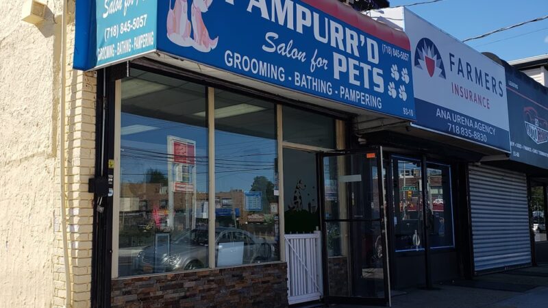 Pampurr'd Pets - Ozone Park, NY