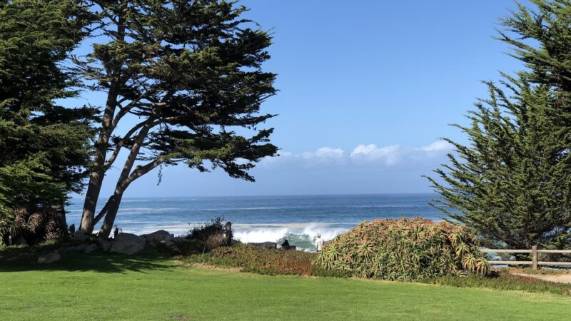 Berwick Park - Pacific Grove, CA