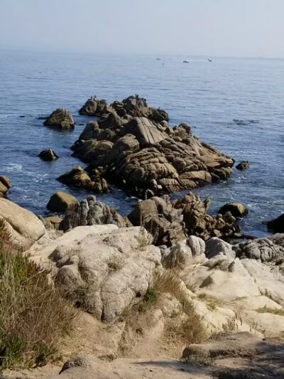Berwick Park - Pacific Grove, CA
