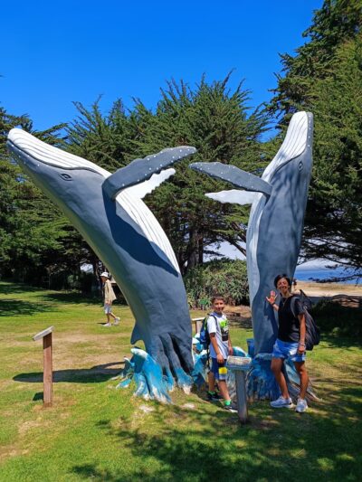 Berwick Park - Pacific Grove, CA