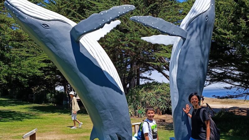 Berwick Park - Pacific Grove, CA