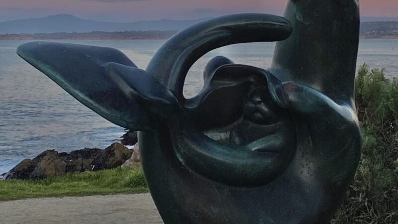 Berwick Park - Pacific Grove, CA