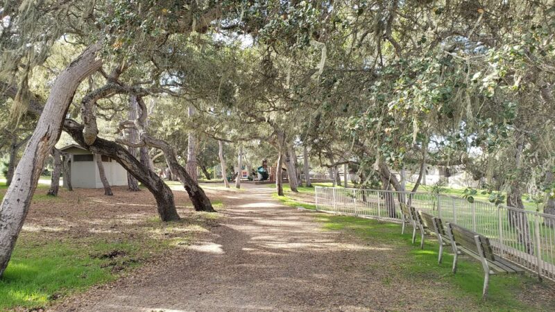 George Washington Park - Pacific Grove, CA