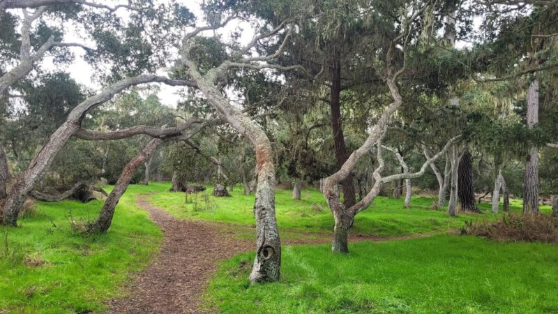 George Washington Park - Pacific Grove, CA