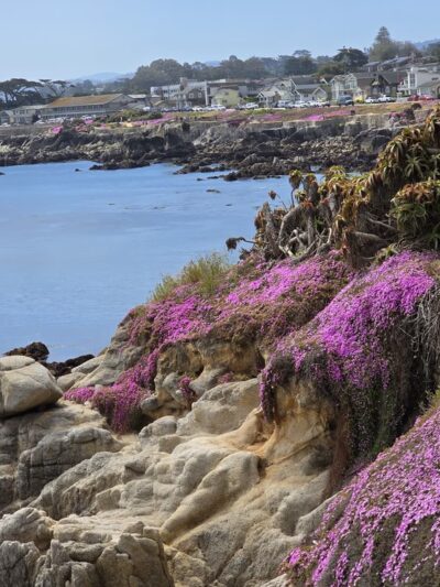 Perkins Park - Pacific Grove, CA