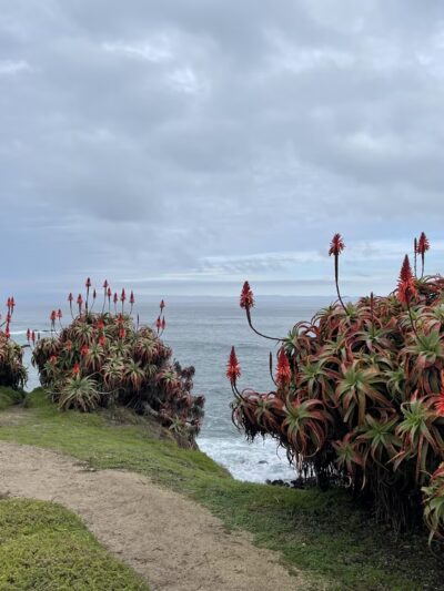 Perkins Park - Pacific Grove, CA