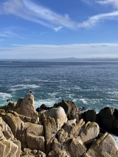 Perkins Park - Pacific Grove, CA