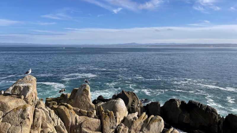Perkins Park - Pacific Grove, CA