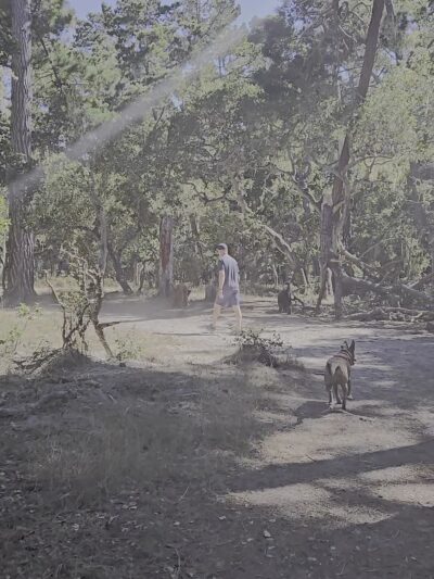 Rip Van Winkle Open Space - Pacific Grove, CA