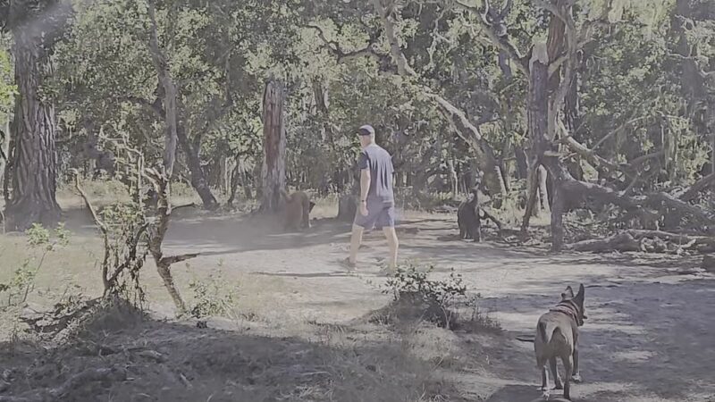 Rip Van Winkle Open Space - Pacific Grove, CA