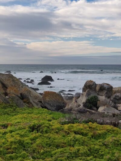 Rip Van Winkle Open Space - Pacific Grove, CA