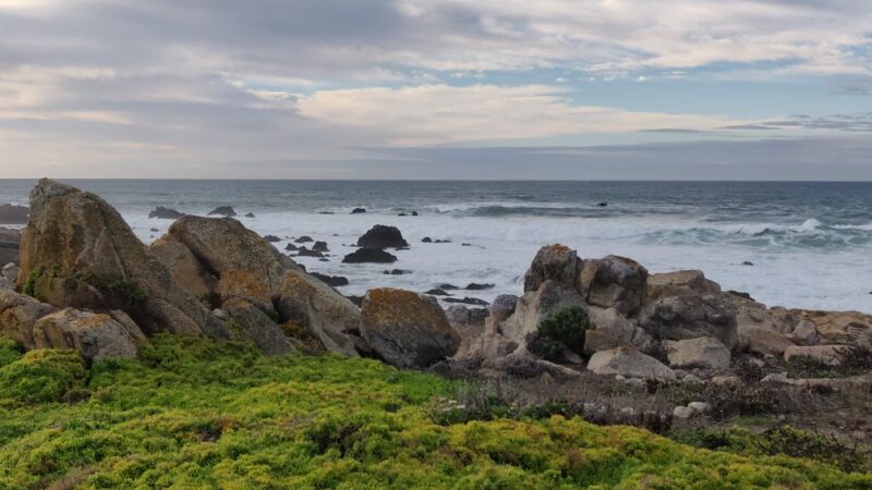 Rip Van Winkle Open Space - Pacific Grove, CA