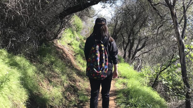 Leacock Trailhead - Pacific Palisades, CA