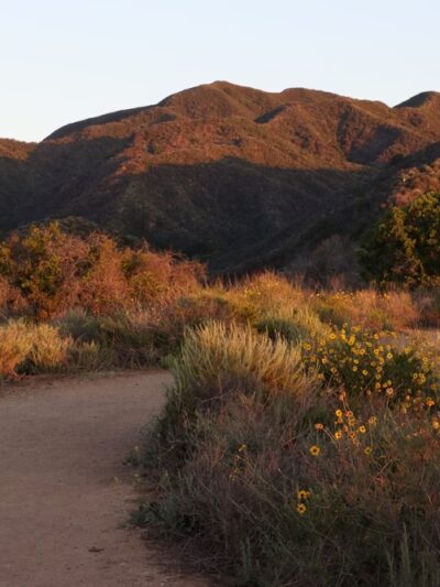 Backbone Trail Head, Will Rogers State Park - Pacific Palisades, CA