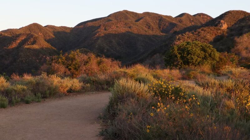 Backbone Trail Head, Will Rogers State Park - Pacific Palisades, CA