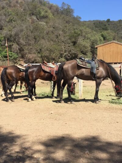 Backbone Trail Head, Will Rogers State Park - Pacific Palisades, CA
