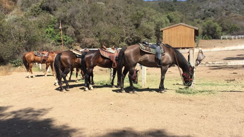 Backbone Trail Head, Will Rogers State Park - Pacific Palisades, CA