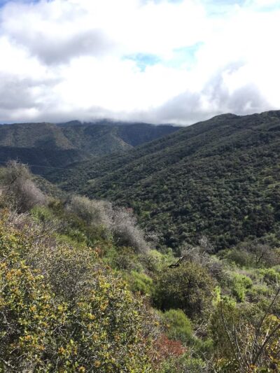 Hub Junction - Topanga State Park - Pacific Palisades, CA