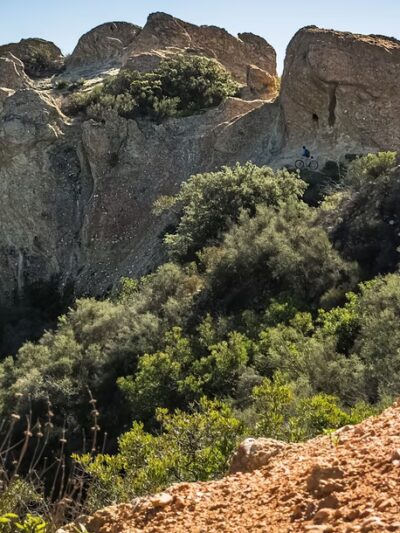 Hub Junction - Topanga State Park - Pacific Palisades, CA