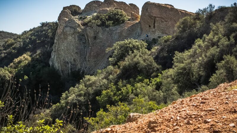 Hub Junction - Topanga State Park - Pacific Palisades, CA