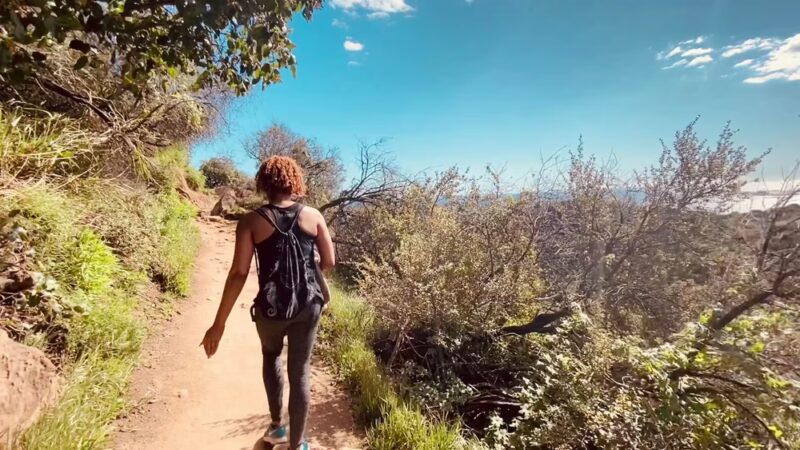 Los Leones Canyon - Pacific Palisades, CA