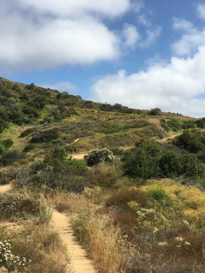 Los Leones Canyon - Pacific Palisades, CA