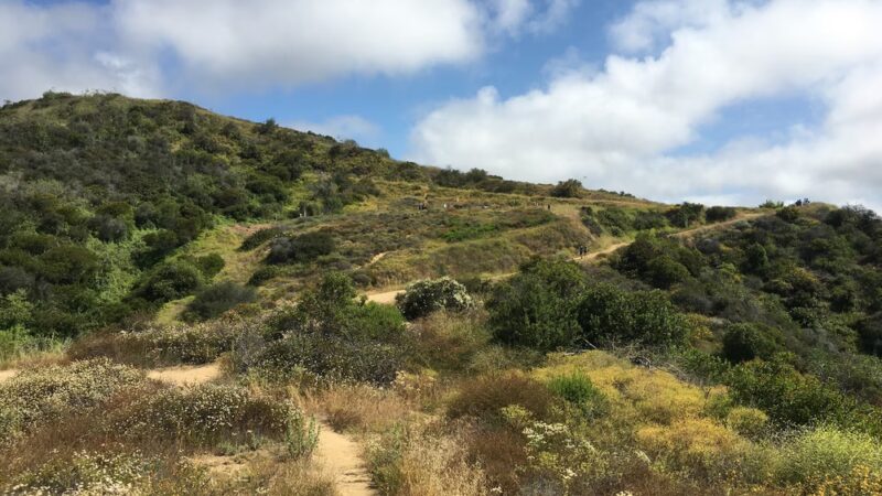 Los Leones Canyon - Pacific Palisades, CA
