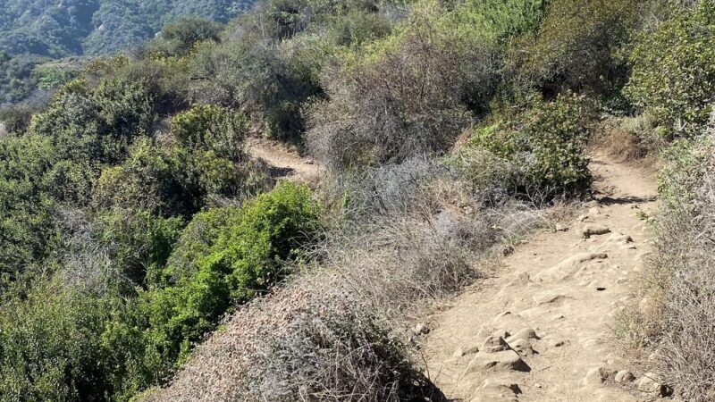 Los Liones Trail - Pacific Palisades, CA