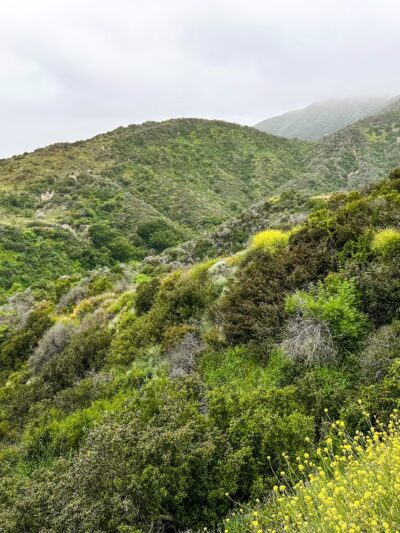 Los Liones Trail - Pacific Palisades, CA