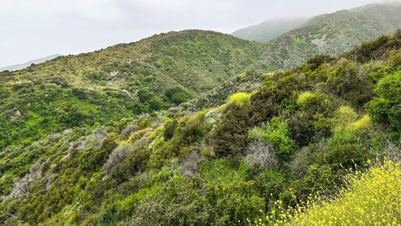 Los Liones Trail - Pacific Palisades, CA