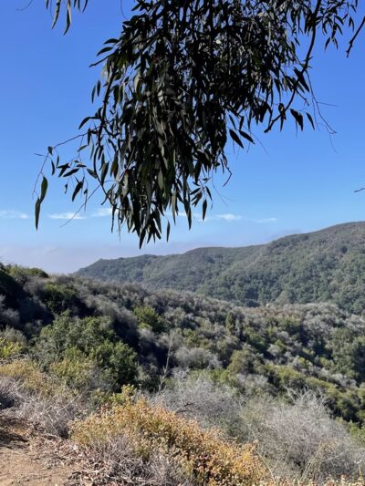Murphy Ranch trail - Pacific Palisades, CA