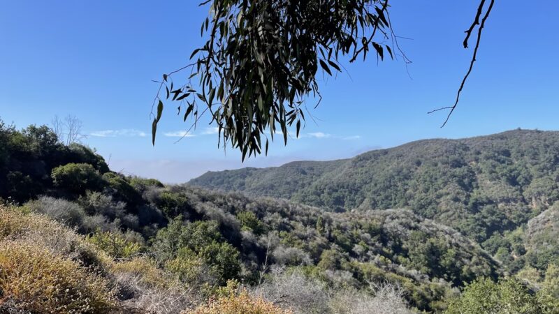 Murphy Ranch trail - Pacific Palisades, CA
