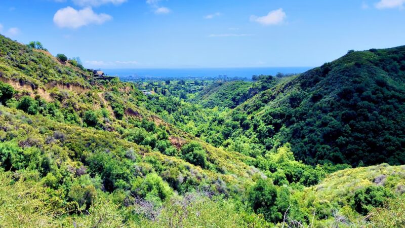 Murphy Ranch trail - Pacific Palisades, CA