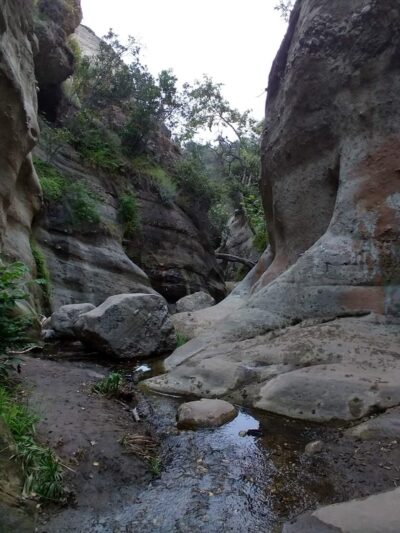 Santa Ynez Canyon Park - Pacific Palisades, CA