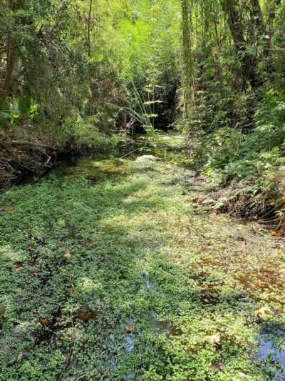 Santa Ynez Canyon Park - Pacific Palisades, CA