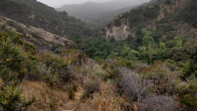 Santa Ynez Canyon Park - Pacific Palisades, CA