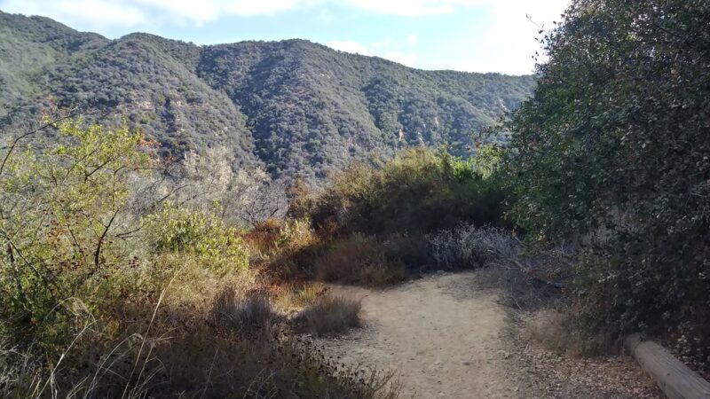 Temescal Canyon Park - Pacific Palisades, CA