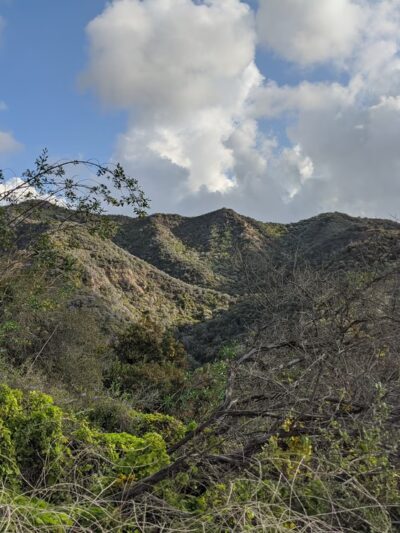 Temescal Canyon Park - Pacific Palisades, CA