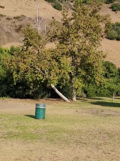 Temescal Canyon Park - Playground - Pacific Palisades, CA
