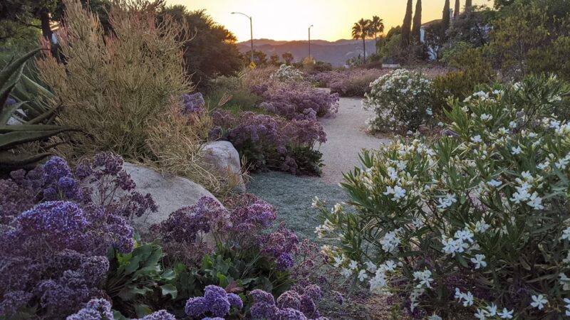 The Summit Park - Pacific Palisades, CA