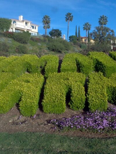 The Summit Park - Pacific Palisades, CA