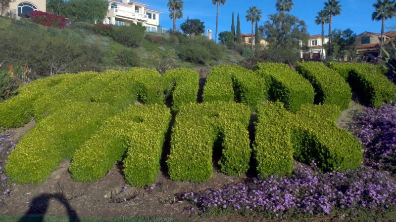 The Summit Park - Pacific Palisades, CA