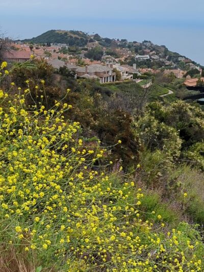 Trailer Canyon Trailhead - Topanga State Park - Pacific Palisades, CA